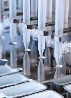 Cells dispensed by dragonfly® discovery exhibit normal proliferation, health and apoptotic responses