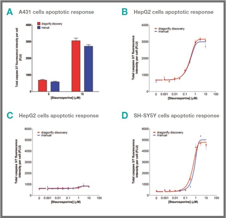 Cells dispensed by dragonfly® discovery exhibit normal proliferation, health and apoptotic responses