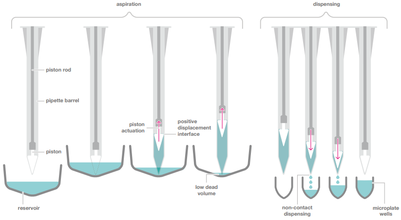 dragonfly® discovery aspiration and dispense mechanism.