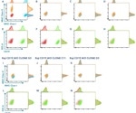 How to accelerate the generation of single-cell clones