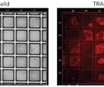 How to make iPSC cloning more efficient?
