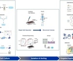 Challenges and opportunities in monoclonal cell lines