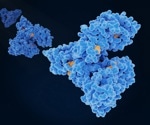 Investigating the sequencing of albumin protein from urine