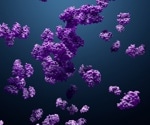 Insights into the tumor microenvironment in colorectal cancer patients