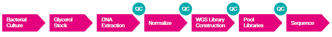 Why do we need automation-friendly library prep when it comes to handling precious samples?