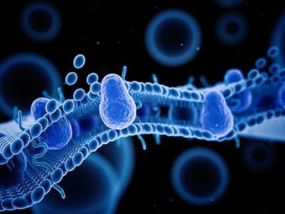 Exploring the significance of transmembrane protein expression for advancing science and medicine Exploring the significance of transmembrane protein expression for advancing science and medicine