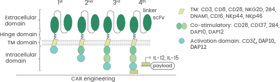 The four generations of CAR structure. doi:10.1186/s40364-022-00364-6 CAR-NK: The next generation in Hematological Malignancy Treatment