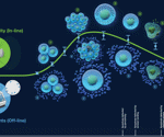Cell culture monitoring: Exploring permittivity measurements versus viable cell counts