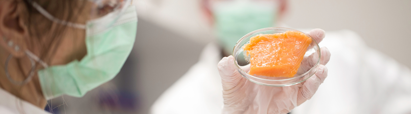 How is cell culture manufacturing leveraged for cultivated meat? How is cell culture manufacturing leveraged for cultivated meat?