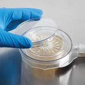 Image Credit: Particle Measuring Systems