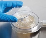 What is the role of single use systems in microbiological environmental monitoring?