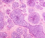Explore the principles and applications of Flash NanoPrecipitation (FNP)