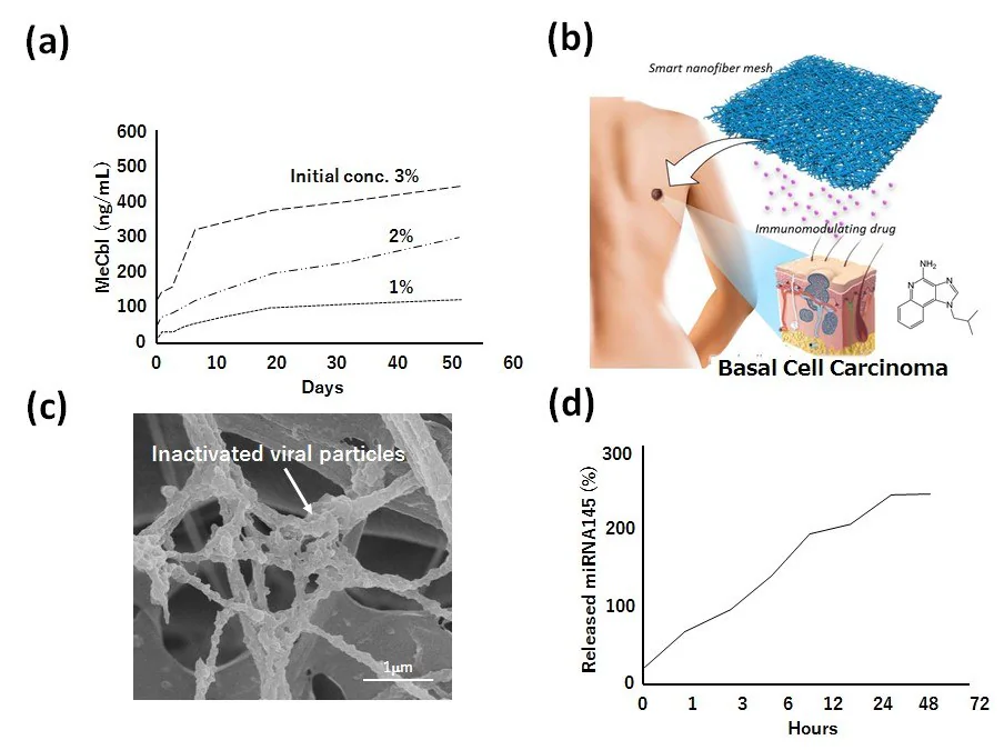 A) Drug release behavior of methylcobalamin (MeCbl) from PCL nanofiber meshes. B) Schematic image of immunomodulating drug-incorporated nanofiber mesh for basal cell carcinoma therapy. C) Scanning electron microscopic image of inactivated viral particlesmodified PCL nanofiber mesh for prostate cancer therapy. D) Drug release behavior of micro RNA 145 from PCL nanofiber mesh.