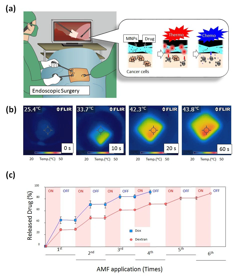 A) Schematic illustration for on-off switchable temperature-responsive fiber mesh for cancer thermo-chemotherapy. B) The infrared thermal images of MNPs-loaded nanofiber mesh in AMF. C) On-off switchable drug release profiles for DOX and dextran from temperature-responsive nanofiber meshes in response to AMF application.