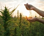 Forensic Cannabis Analysis: Differentiating Hemp from Marijuana