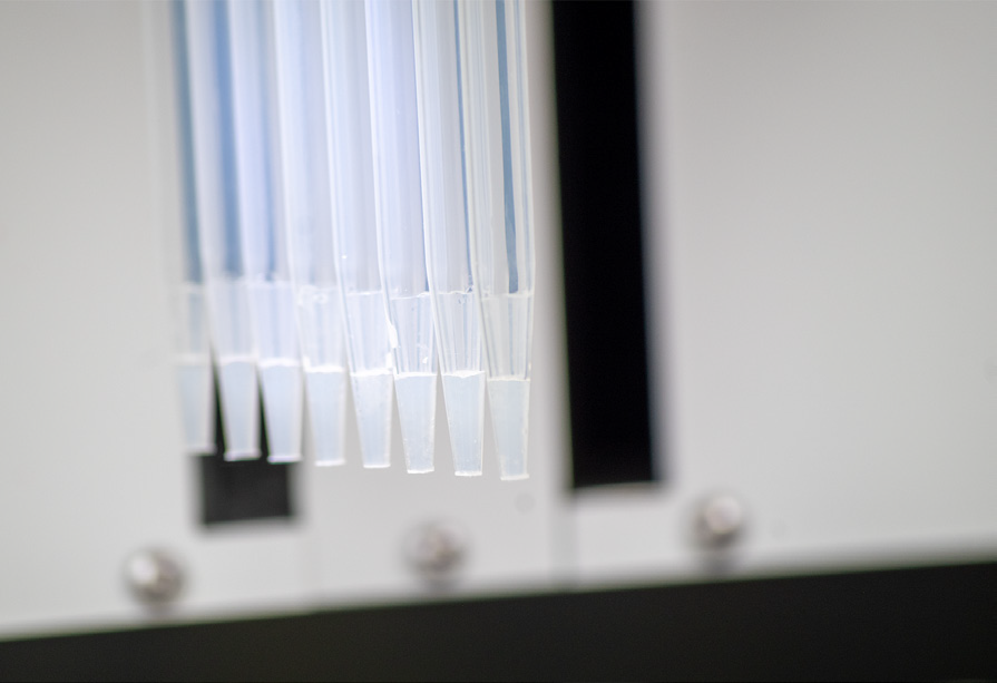 1000 μL PhyTip® columns on the CyBio FeliX.