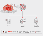 The importance of cell media in EV cancer treatment