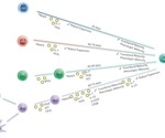 Feeder-cell alternatives for large-cell iPSC manufacturing