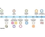 Using organoid culturing for preclinical human disease models