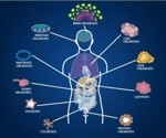 Enhancing organoid culture optimization