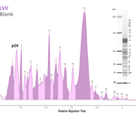 How to characterize viral capsid proteins for cell and gene therapies