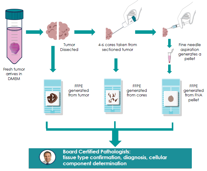 Using CNB and FNA collection of specimens for developing diagnostic assays