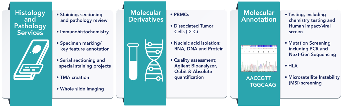 Using CNB and FNA collection of specimens for developing diagnostic assays