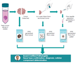 Using CNB and FNA collection of specimens for developing diagnostic assays