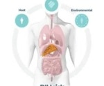 De-risking drug development: Using the power of Organ-on-a-Chip (OOC) to reduce liver injury
