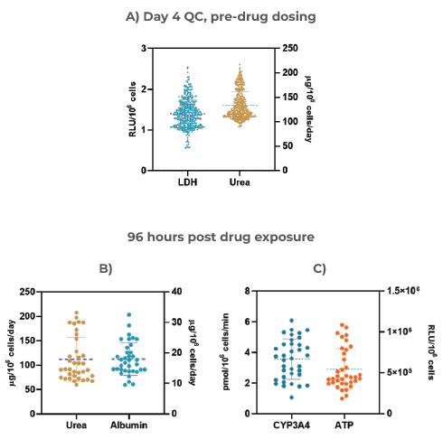 The Liver MPS produces highly reproducible data and consistent microtissues. A) 3D Liver microtissue quality control (QC) metrics at Day four (Mean ± standard deviation (SD), N = 360); Functionality assessment at the end of the drug dosing (96 hrs) – B) Albumin and Urea, and C) CYP3A4 and ATP. Data was collected from 12 individual experiments; for each experiment three vehicle control replicates were used (data shown are Mean ± SD, N = 36).