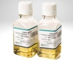 Production and processing methods of human AB serum