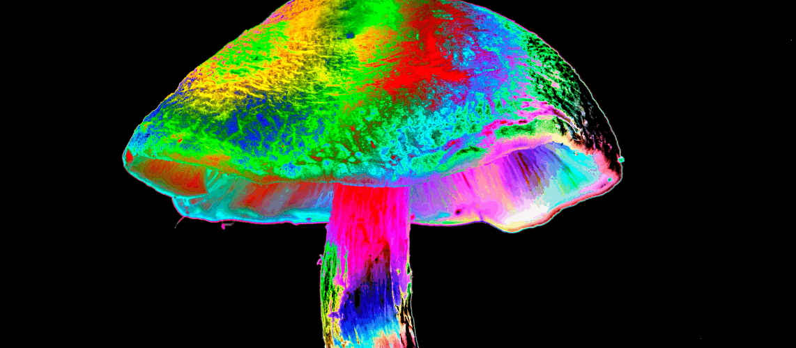 Psychedelic treatments: Transforming mental health and neurodegenerative disease research