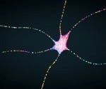 Exploring chronic pain: TRP ion channels as promising targets for safer and more effective pain management treatments