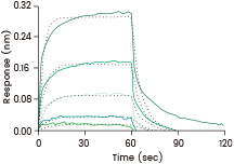 Loaded Human FcγRIIIA / CD16a (F176) recombinant protein (Cat. 10389-H08H) on His1K Biosensor, can bind Bevacizumab (IgG1) with an affinity constant of 1.9 μM as determined in a BLI assay (ForteBio Octet Red384).