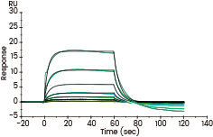 Captured Human FcγRIIIA / CD16a (F176) recombinant protein (Cat. 10389-H08H) on Anti-His Chip can bind Human IgG Fc (Cat. 10702-HNAC) with an affinity constant of 7.1 μM as determined in an SPR assay (Biacore T200).