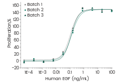 Three independent batches of human EGF protein (Cat#: 10605-HNAE) have identical bioactivity.