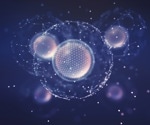 Advancing organoid culture: Innovative solutions for precision tissue engineering