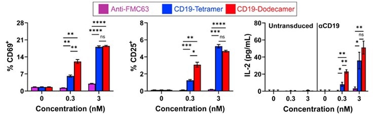 Activation of CAR-T cell by pre-couple target antigens with magnetic beads.