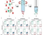 Exploring the emerging applications of target-specific pre-coupled magnetic beads