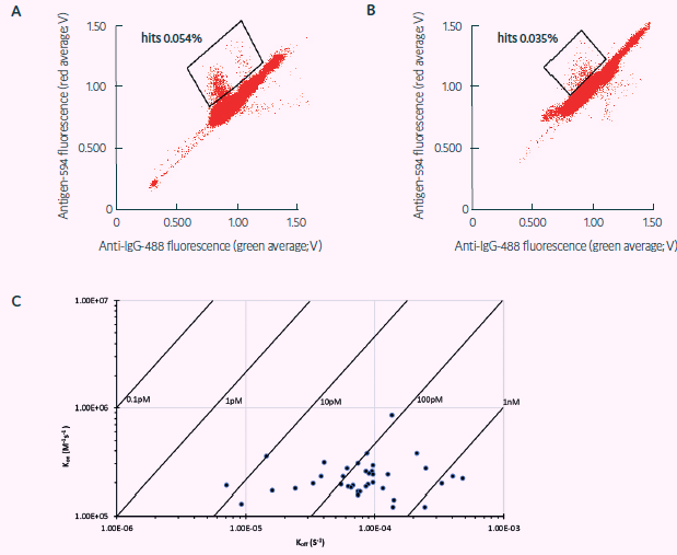 Sorting of freshly sourced and revived human ASCs for TT target specificity (adapted from Gaa et al., 2021, under CC BY 4.0 License). Sorting Scatter plot obtained from, A) human ASCs, and B) revived human plasmablasts secreting antibodies against TT via FRET: a decrease in green and an increase in red fluorescence indicates FRET by recombinant target binding in the respective droplets. C) TT binding affinities via BLI showing mainly subnanomolar TT affinities of binders obtained via Cyto-Mine® within 4 weeks from ASC sourcing. I