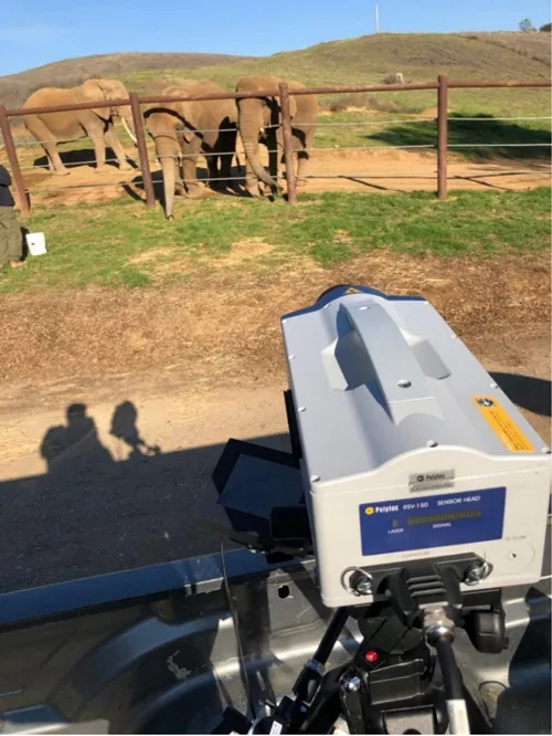 LDV measurement