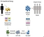 What is the full potential of iPSC-derived allogeneic cell therapy?