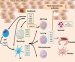 Exploring the associations between cytokines and autoimmune diseases