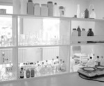 How chemical synthesis plays a fundamental part of our lives
