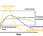What are the drug delivery applications of nanoparticles?