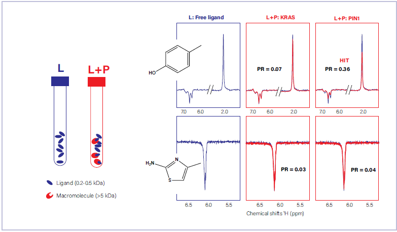 Fragment screening of two fragment molecules against KRAS and PIN1, two oncoproteins. The polarization ratios (PR) are shown to reflect quantitative analysis.