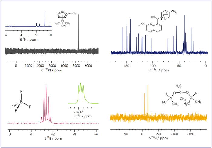 A sample of the various X-nuclei that it’s possible to detect on X-Pulse.