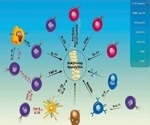 The role of cytokines as key drivers of autoimmune pathogenesis