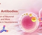 What are the applications of neuronal antibodies in neuroscience?