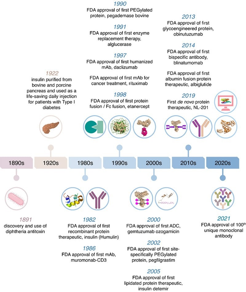 Milestones in protein and antibody-based drug development since 1891. As early as 1998, the biopharmaceutical landscape witnessed a groundbreaking milestone with the approval of the first Fc fusion protein drug by the US FDA – Etanercept. Etanercept, a fusion of the extracellular domain of human TNF receptor 2 (CD120) and the Fc region of human IgG1, revolutionized the treatment of autoimmune disorders such as rheumatoid arthritis